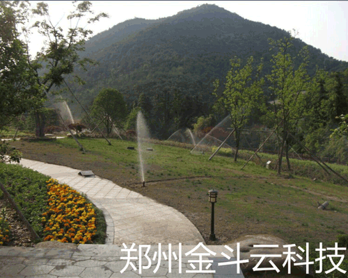 湖北十堰小蝌蚪免费网站工程