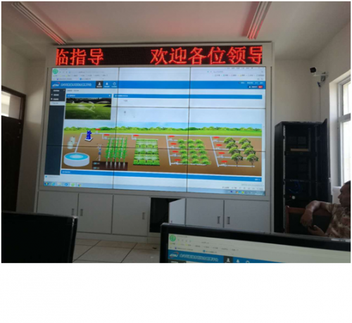 河南農科院實驗基地小蝌蚪免费网站
