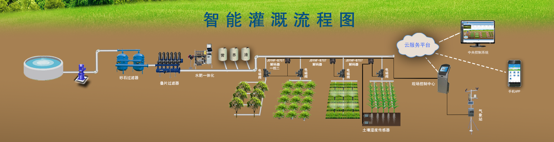 節水小蝌蚪免费网站