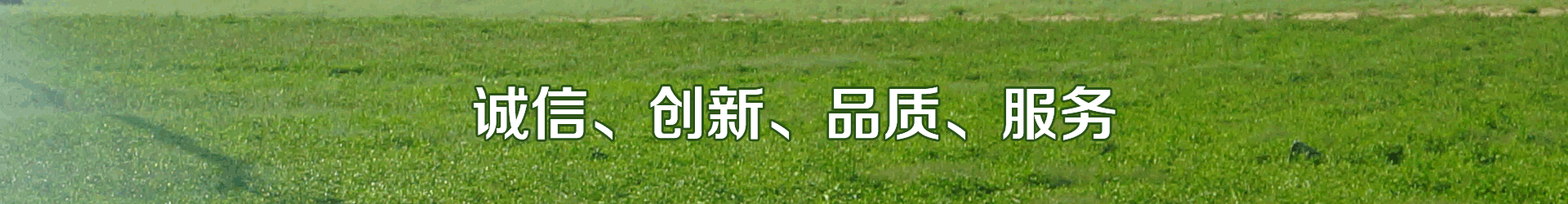 小蝌蚪免费网站係統