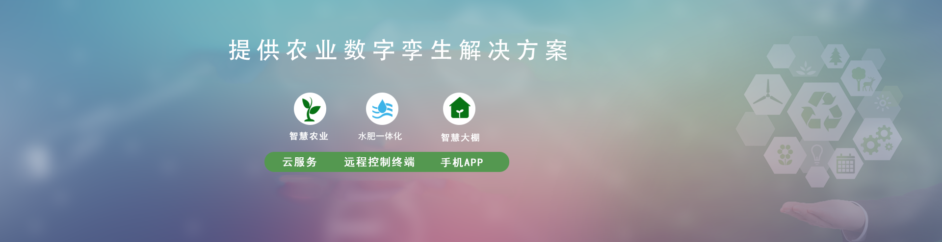 節水小蝌蚪免费网站