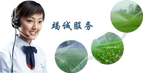  節水小蝌蚪免费网站