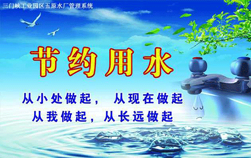 節水小蝌蚪免费网站