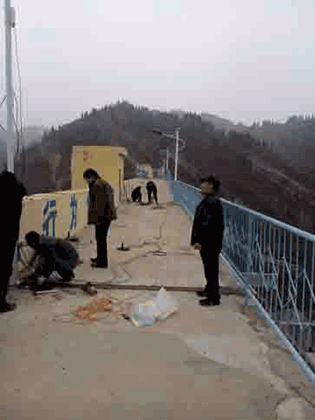 農業小蝌蚪免费网站