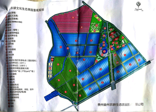 小蝌蚪免费网站係統