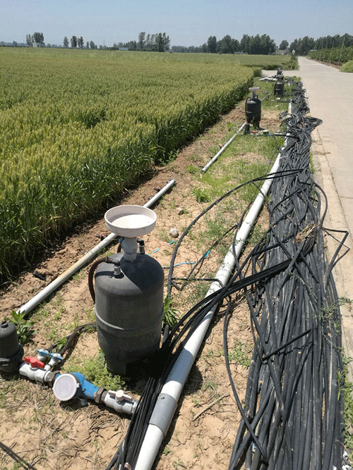 農業小蝌蚪免费网站