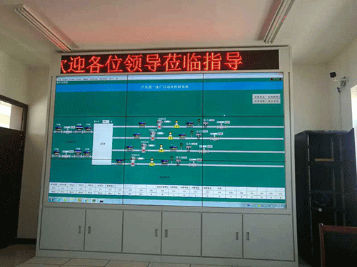節水小蝌蚪免费网站