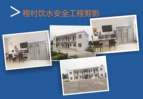 小蝌蚪免费网站係統