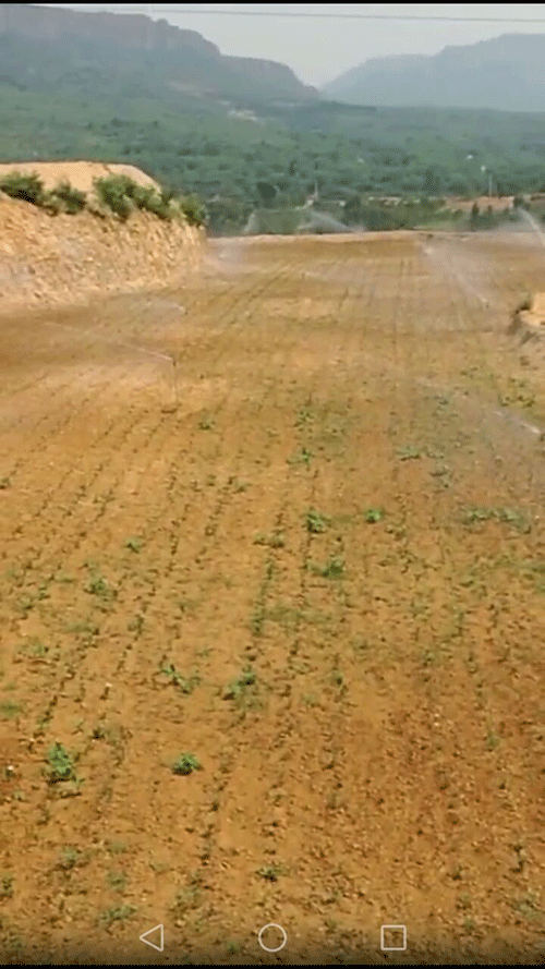 節水小蝌蚪免费网站