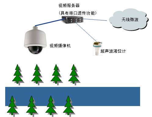 小蝌蚪免费网站係統