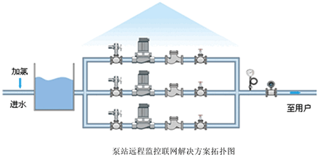 小蝌蚪免费网站係統