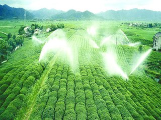 農業小蝌蚪免费网站