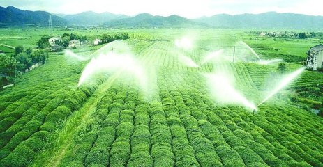 小蝌蚪免费网站係統廠家