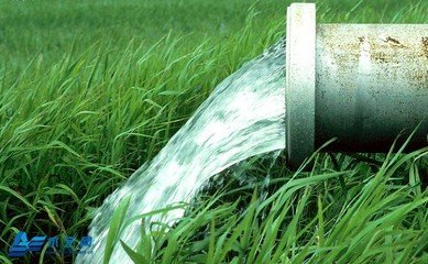 農業小蝌蚪免费网站廠家