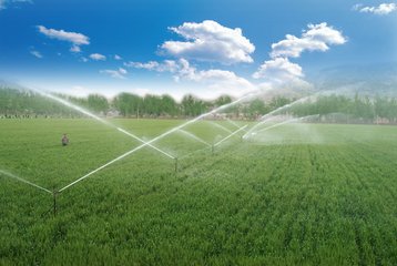 節水小蝌蚪免费网站廠家